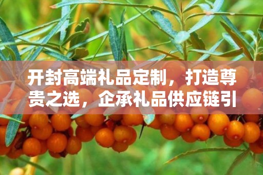 开封高端礼品定制，打造尊贵之选，企承礼品供应链引领时尚潮流
