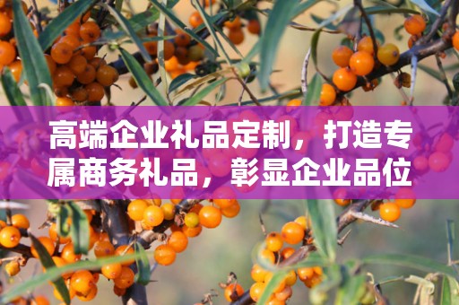 高端企业礼品定制，打造专属商务礼品，彰显企业品位