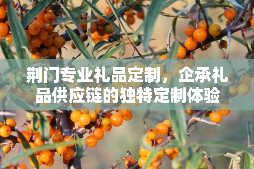 荆门专业礼品定制，企承礼品供应链的独特定制体验