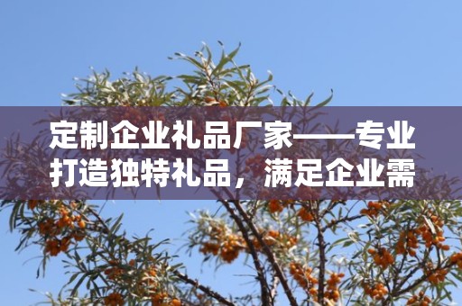 定制企业礼品厂家——专业打造独特礼品，满足企业需求