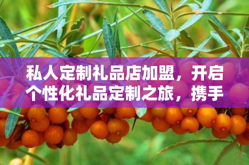 私人定制礼品店加盟，开启个性化礼品定制之旅，携手企承礼品供应链共创未来