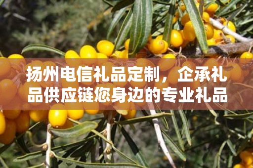 扬州电信礼品定制，企承礼品供应链您身边的专业礼品定制公司